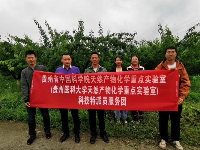深度推进产品开发,延长产业链,为公司拟定酥脆李深加工产品有:李子