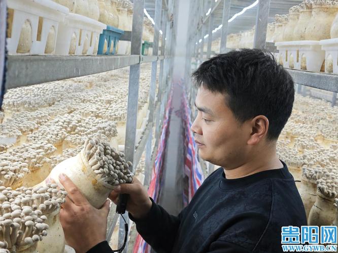 数字赋能 拉满产能！贵州品品鲜生物科技全面复工复产